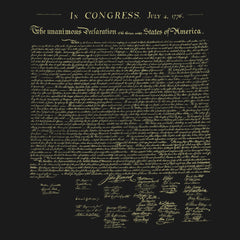 Declaration of Independence Hoodie