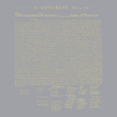 Declaration of Independence Hoodie