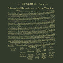 Declaration of Independence Hoodie