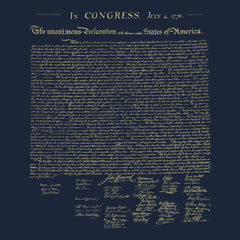 Declaration of Independence Hoodie