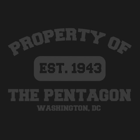 Original Military Base Property of the Pentagon Veteran PT Hoodie