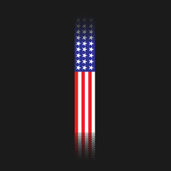 Skinny US Flag Vertical Hoodie