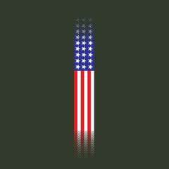 Skinny US Flag Vertical Hoodie