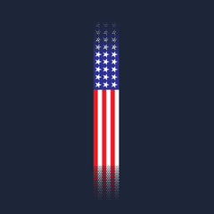 Skinny US Flag Vertical Hoodie