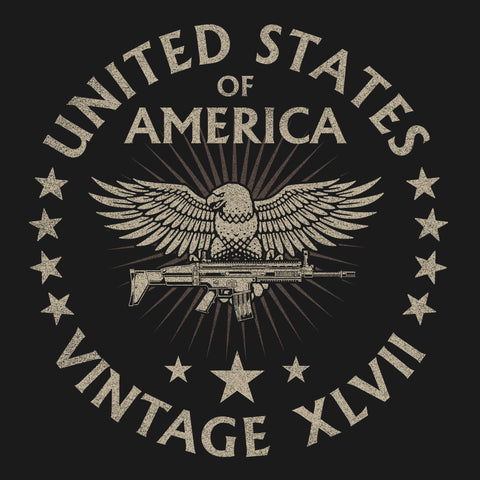 United States of America Vintage XLVII Hoodie