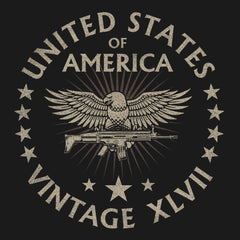 United States of America Vintage XLVII Hoodie