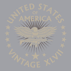 United States of America Vintage XLVII Hoodie