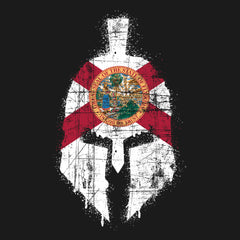 Spartan Helmet Florida Flag Distressed Hoodie