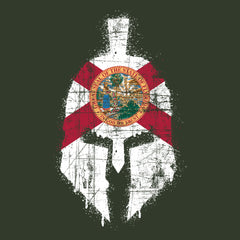 Spartan Helmet Florida Flag Distressed Hoodie