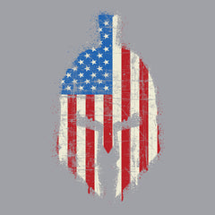 Spartan Distressed US Flag Hoodie